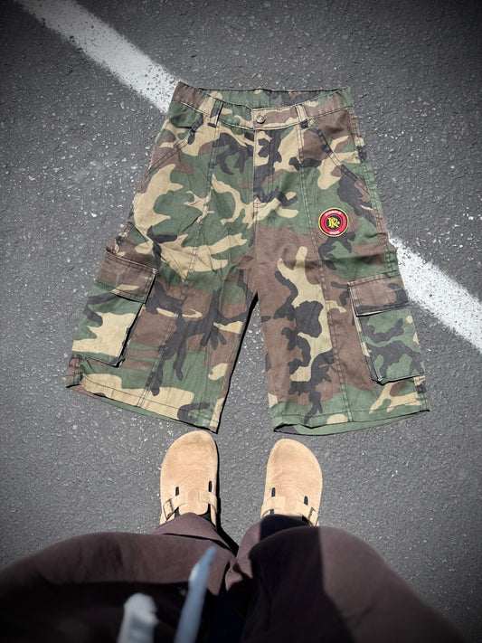 Army patch Rogels